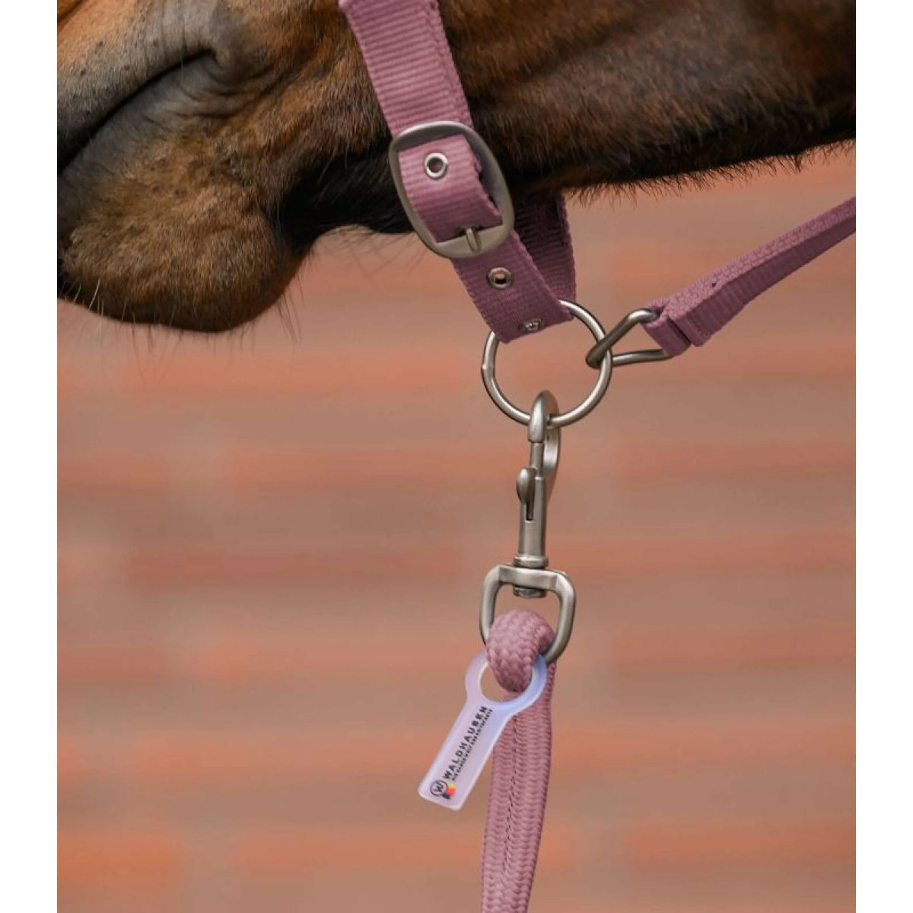 Waldhausen Set Cavezza Velvet Dusky Pink - Image 4