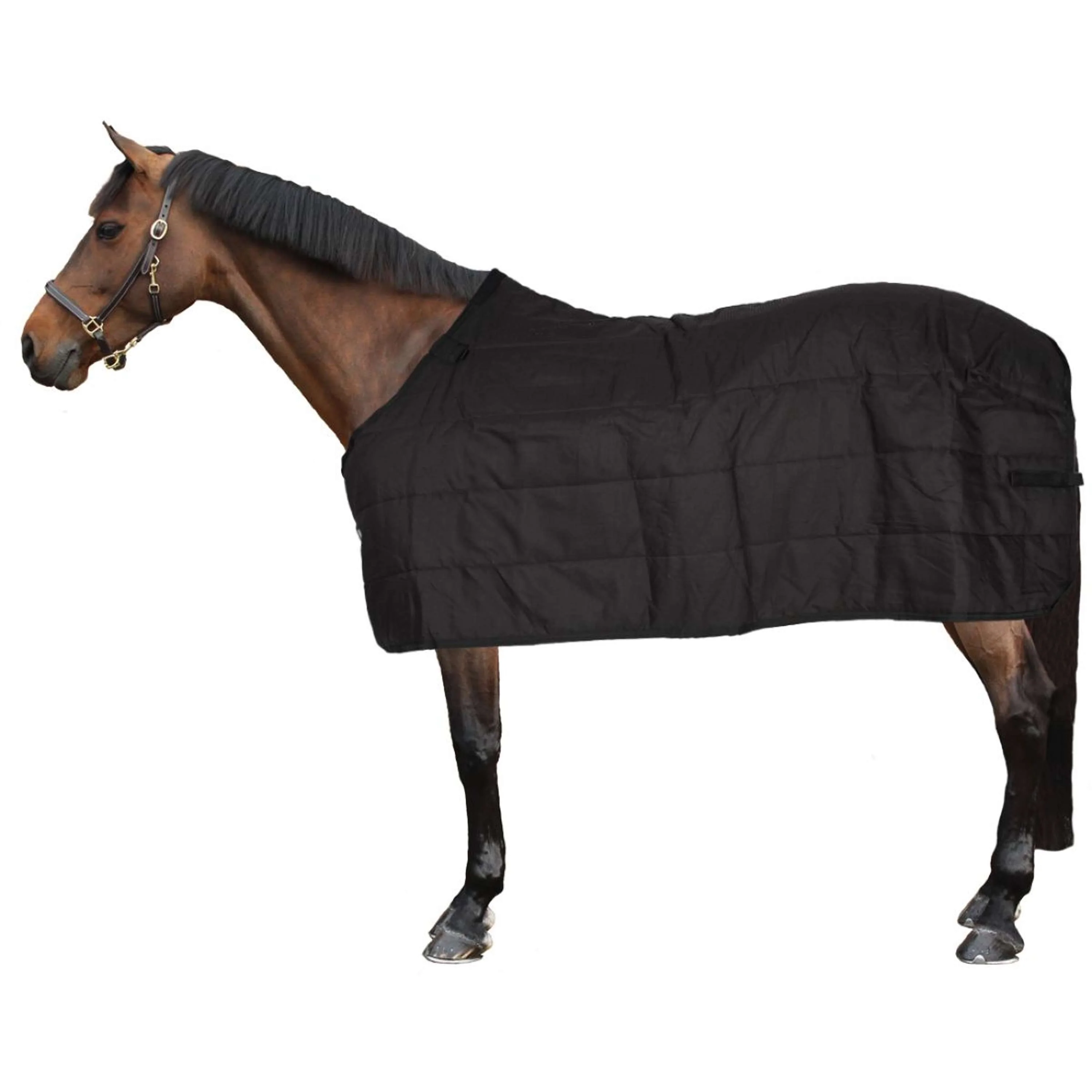 Waldhausen Sottocoperta Thermo Nero - Image 2