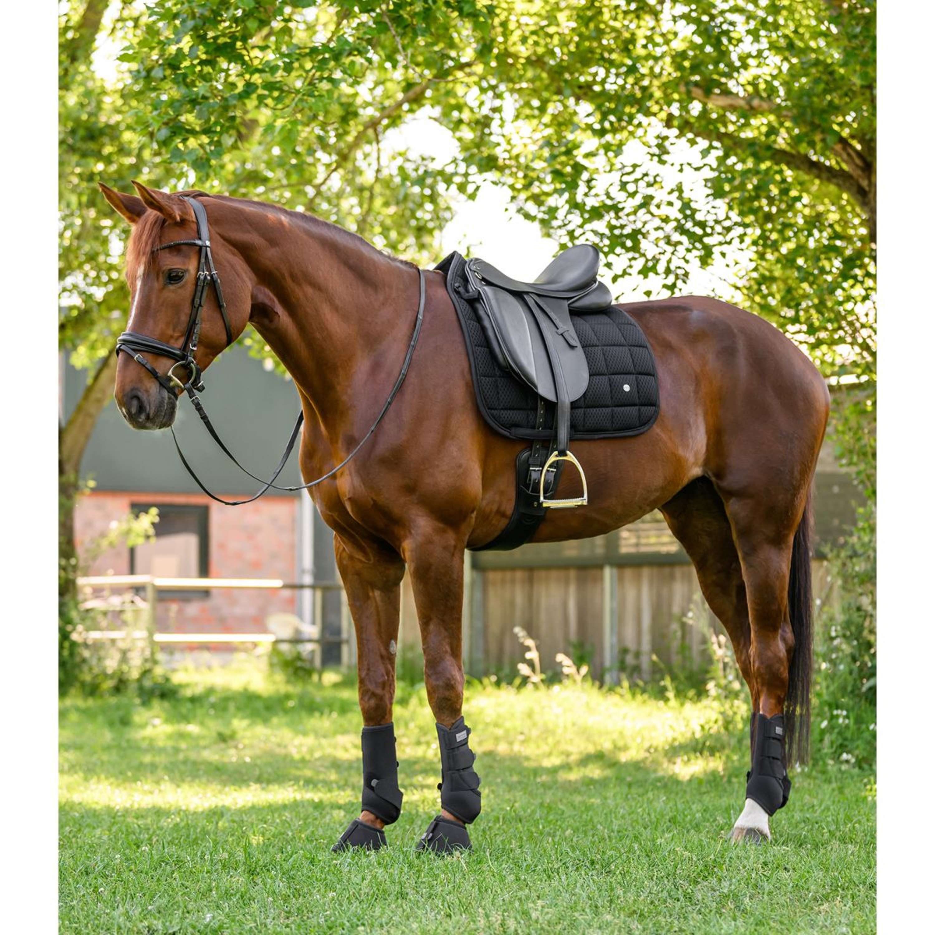 Waldhausen Sottosella Breath Performance Dressage Nero - Image 5