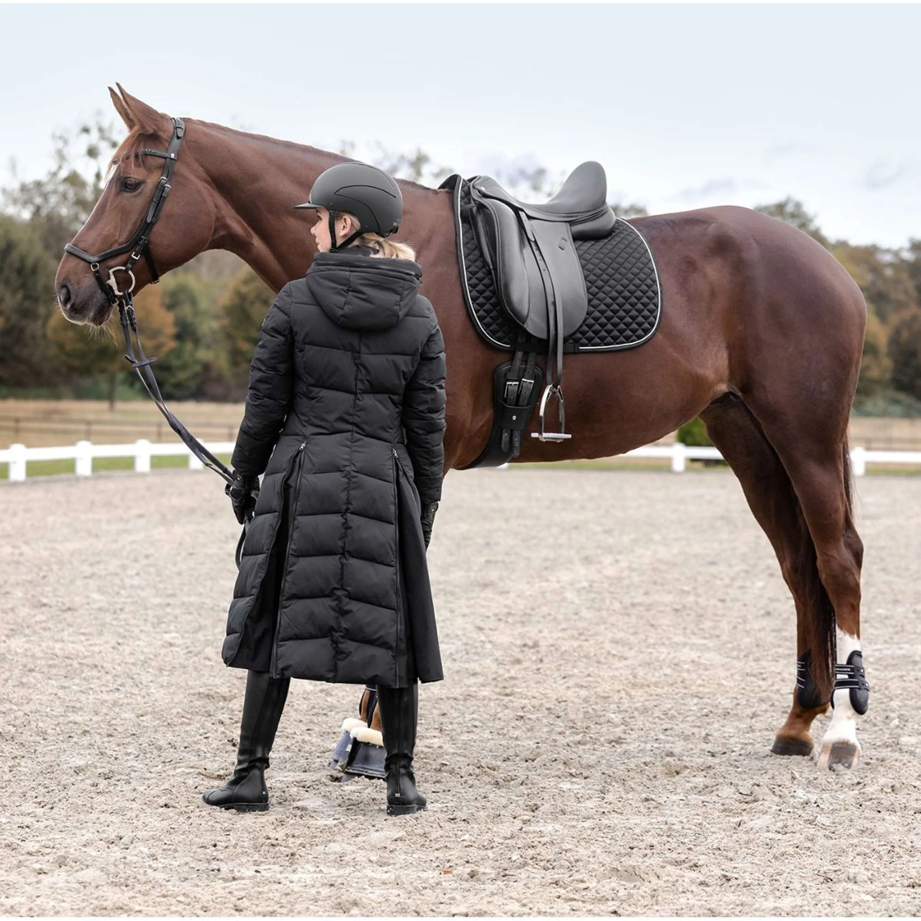 Waldhausen Sottosella Felix Glam Dressage Nero - Image 2