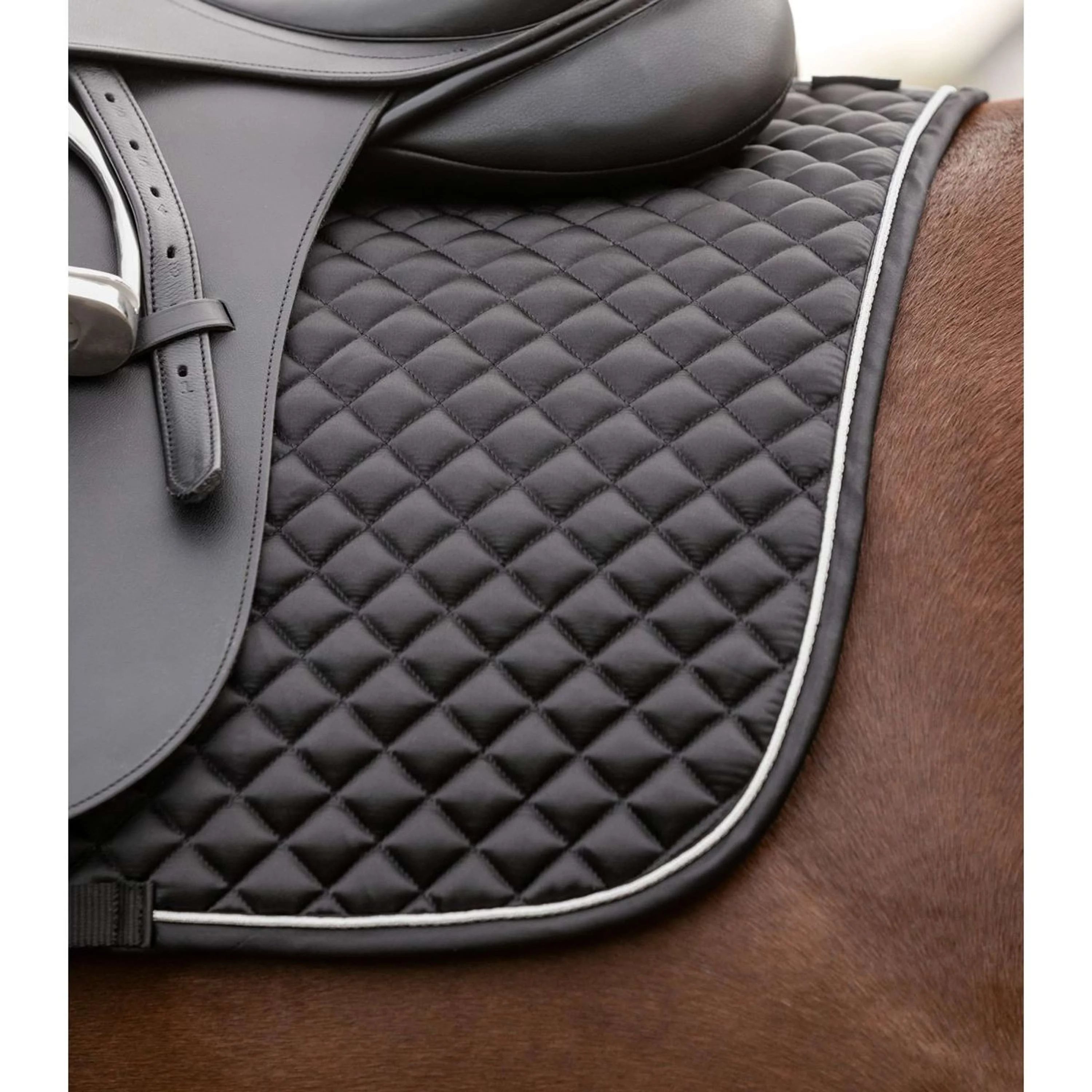 Waldhausen Sottosella Felix Glam Dressage Nero - Image 5