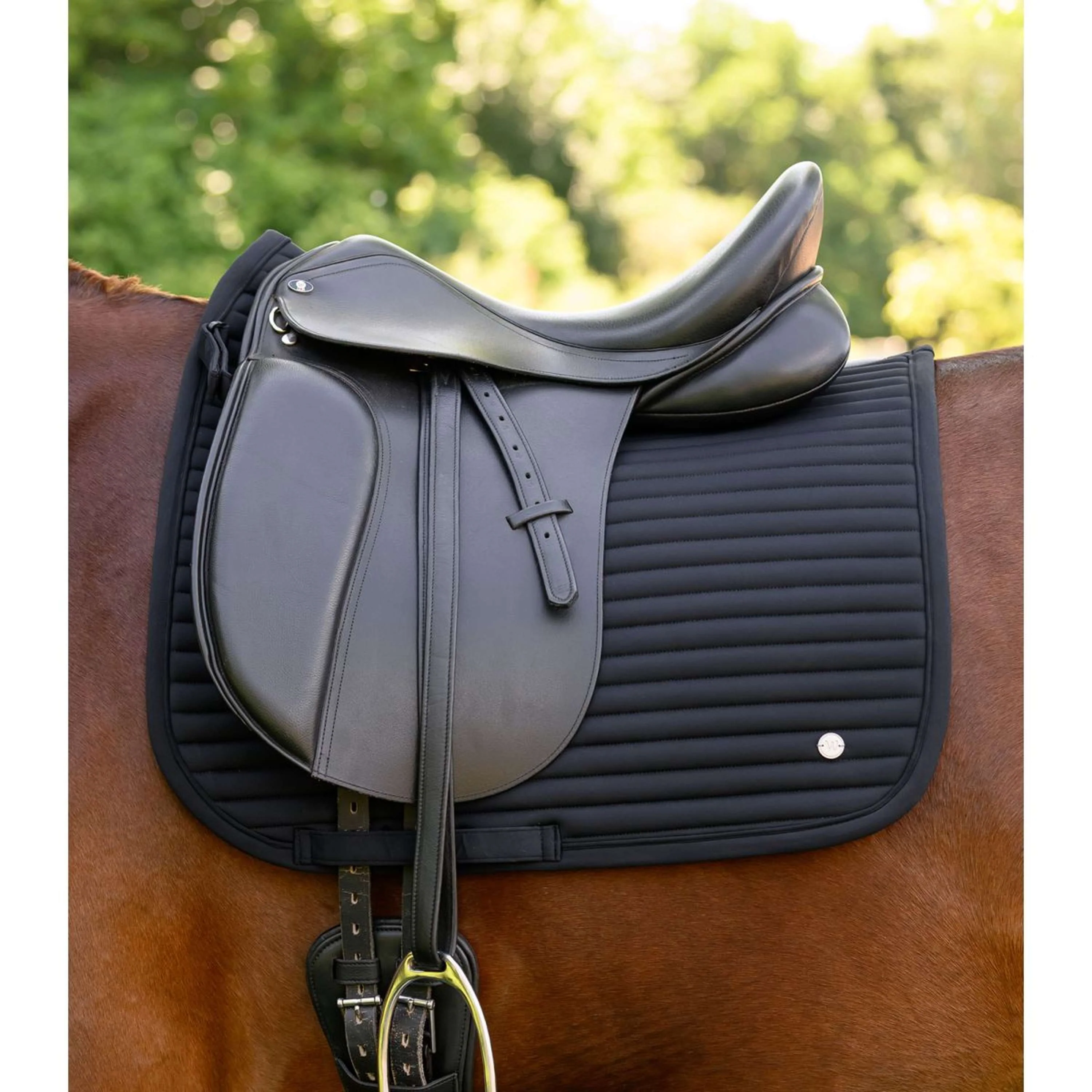 Waldhausen Sottosella Trinidad Dressage Nero - Image 2