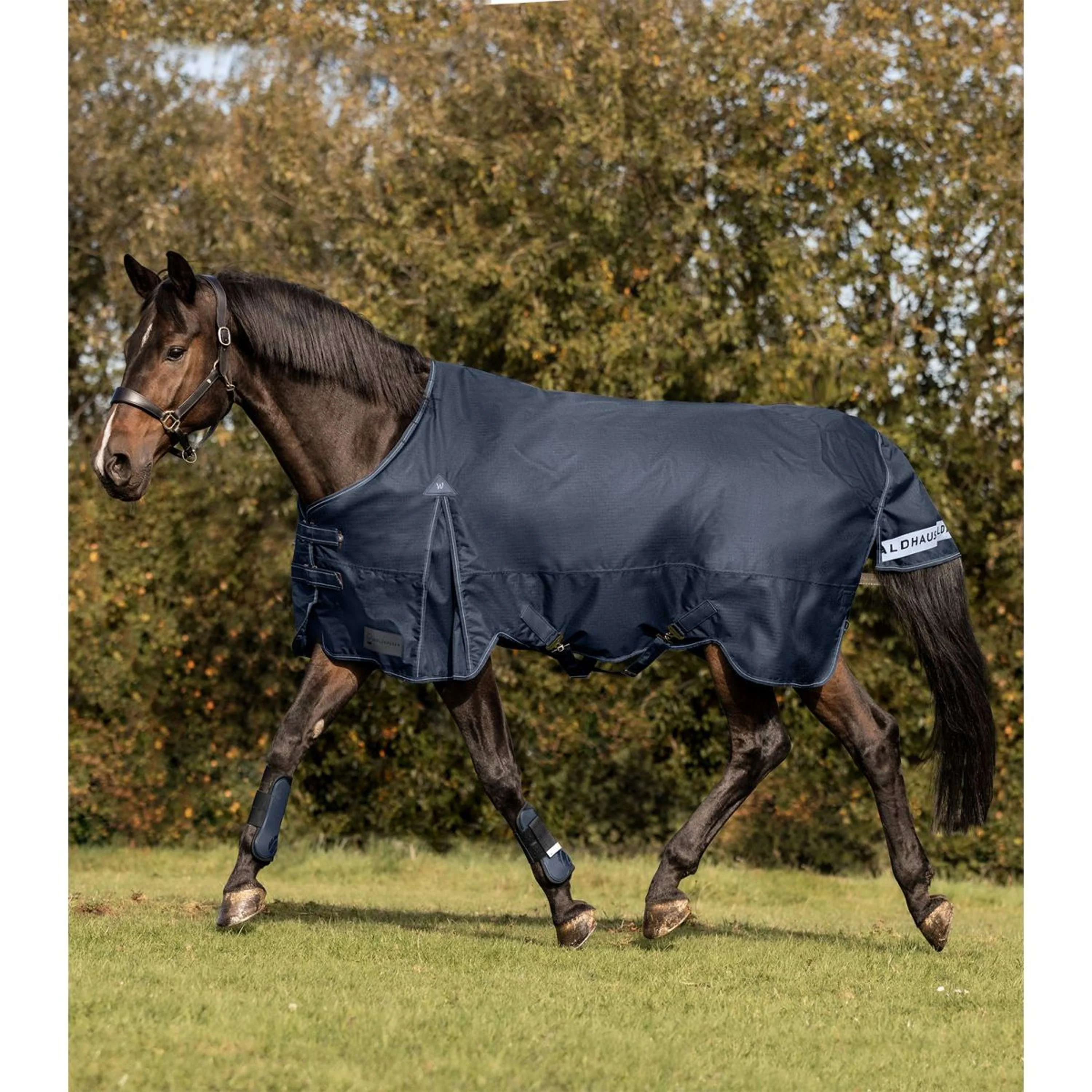 Waldhausen Tappeto da Esterno Arctic 200g Blu notte - Image 2