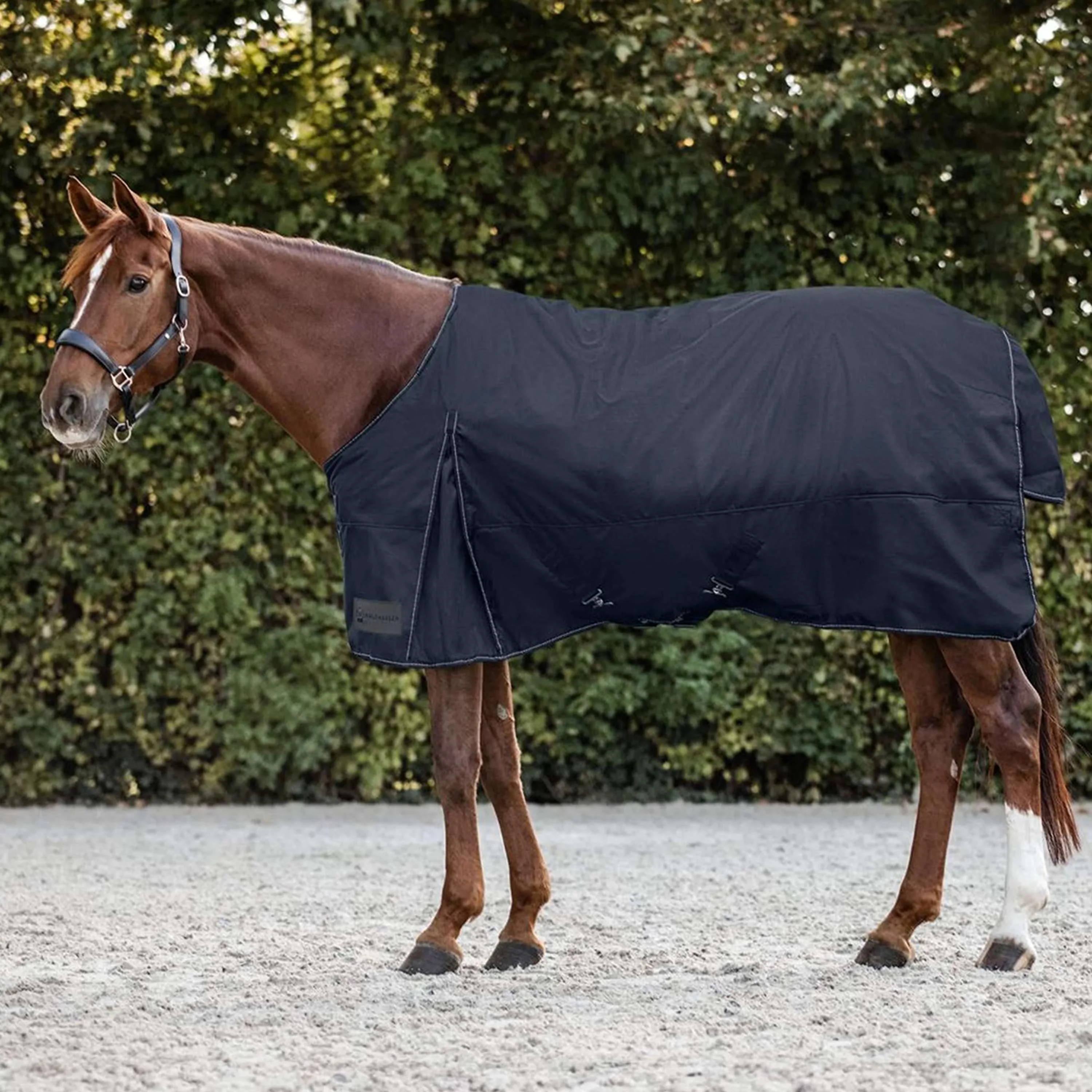 Waldhausen Tappeto da Esterno Nordic 300g Blu notte