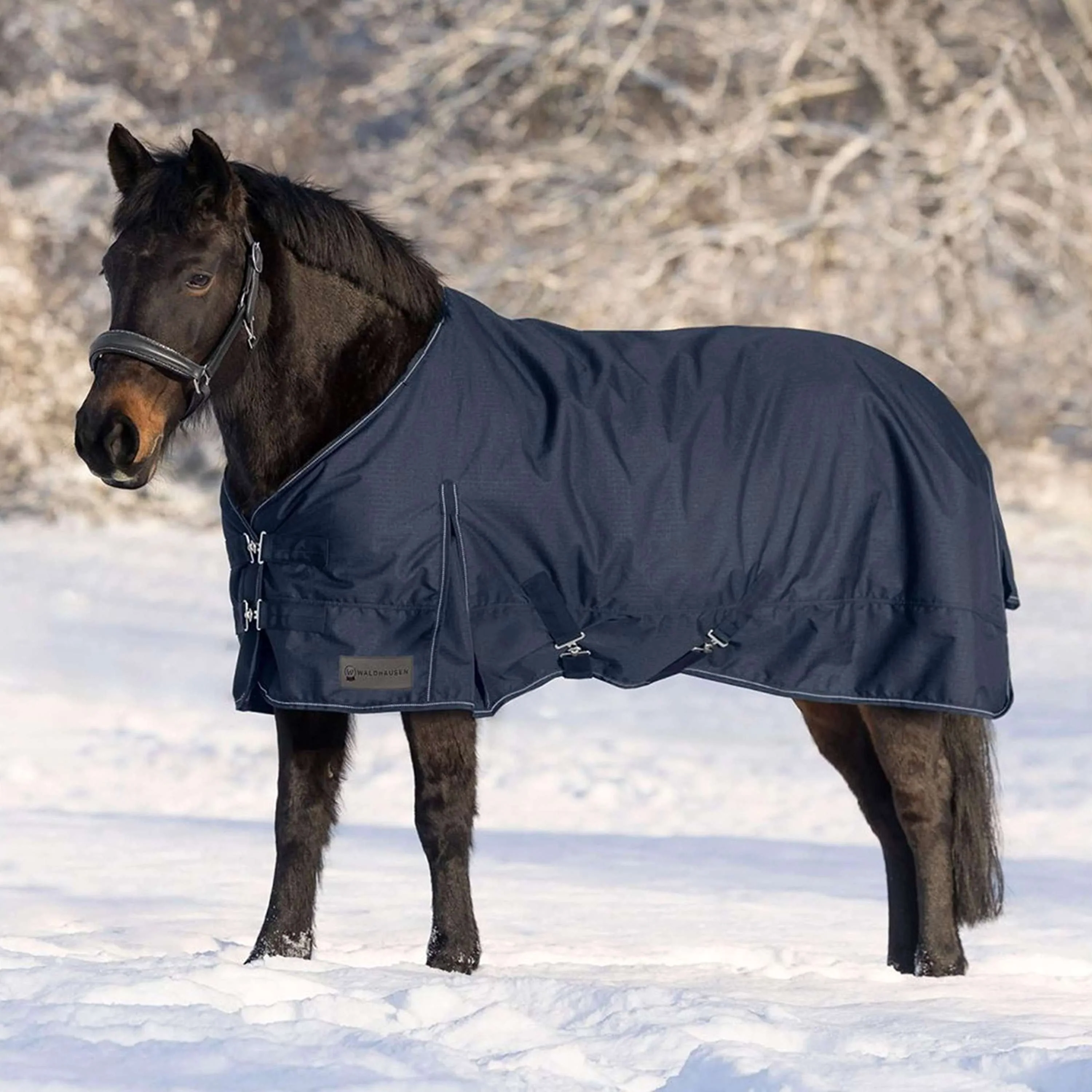 Waldhausen Tappeto da Esterno Nordic 300g Blu notte - Image 3