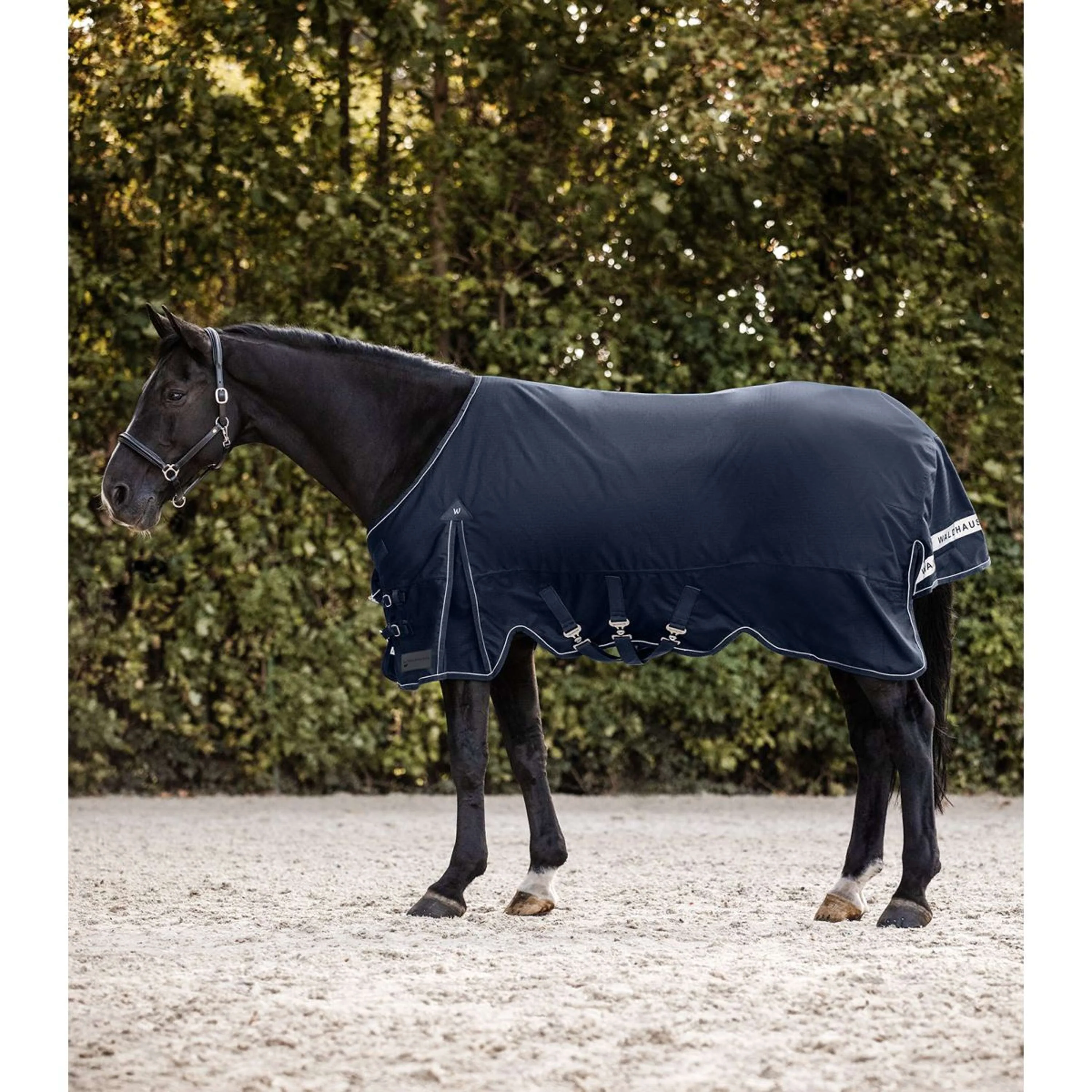 Waldhausen Tappeto da Esterno Scandic 200 g Blu notte