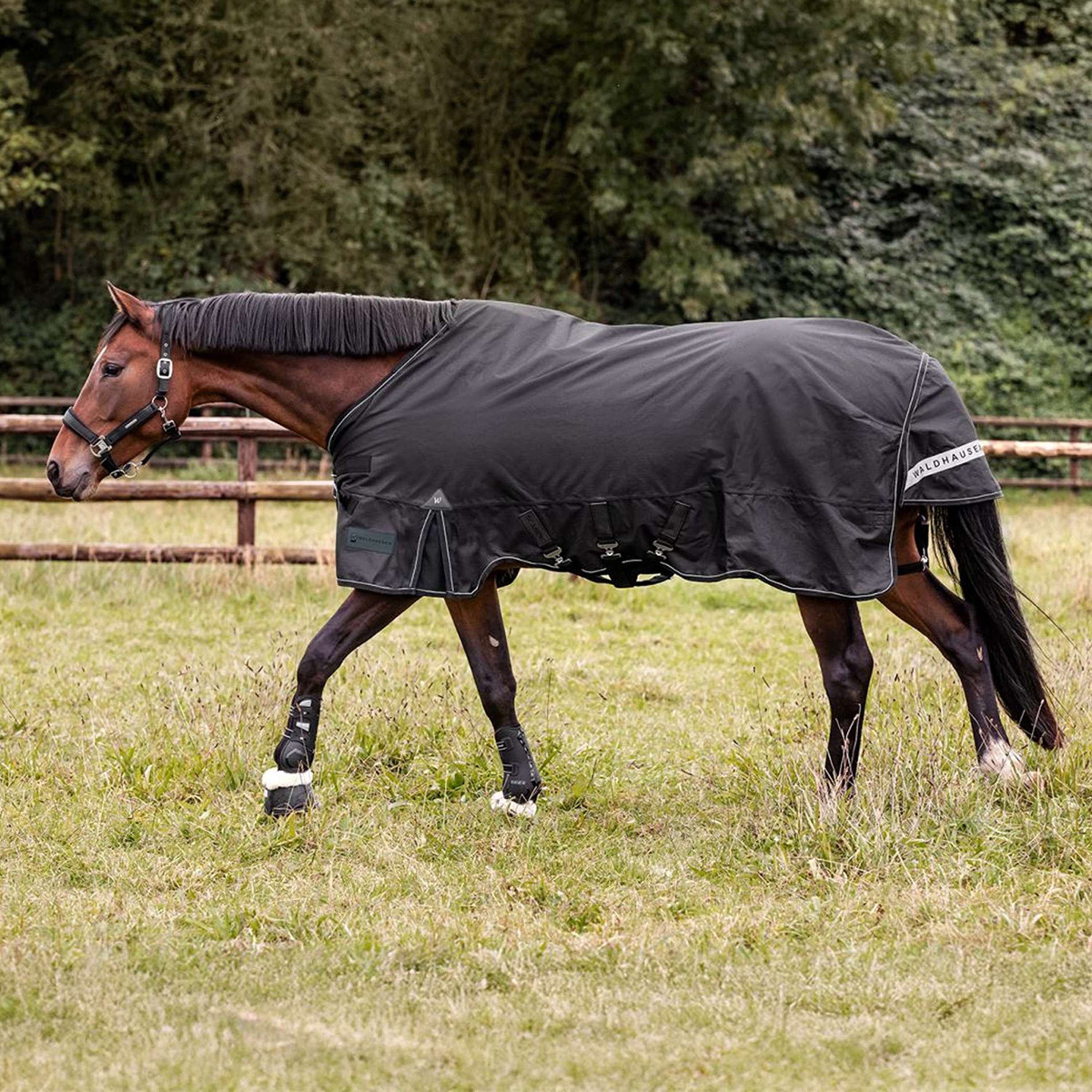 Waldhausen Tappeto da Esterno Scandic Multi-Layer 50/150g Nero - Image 3