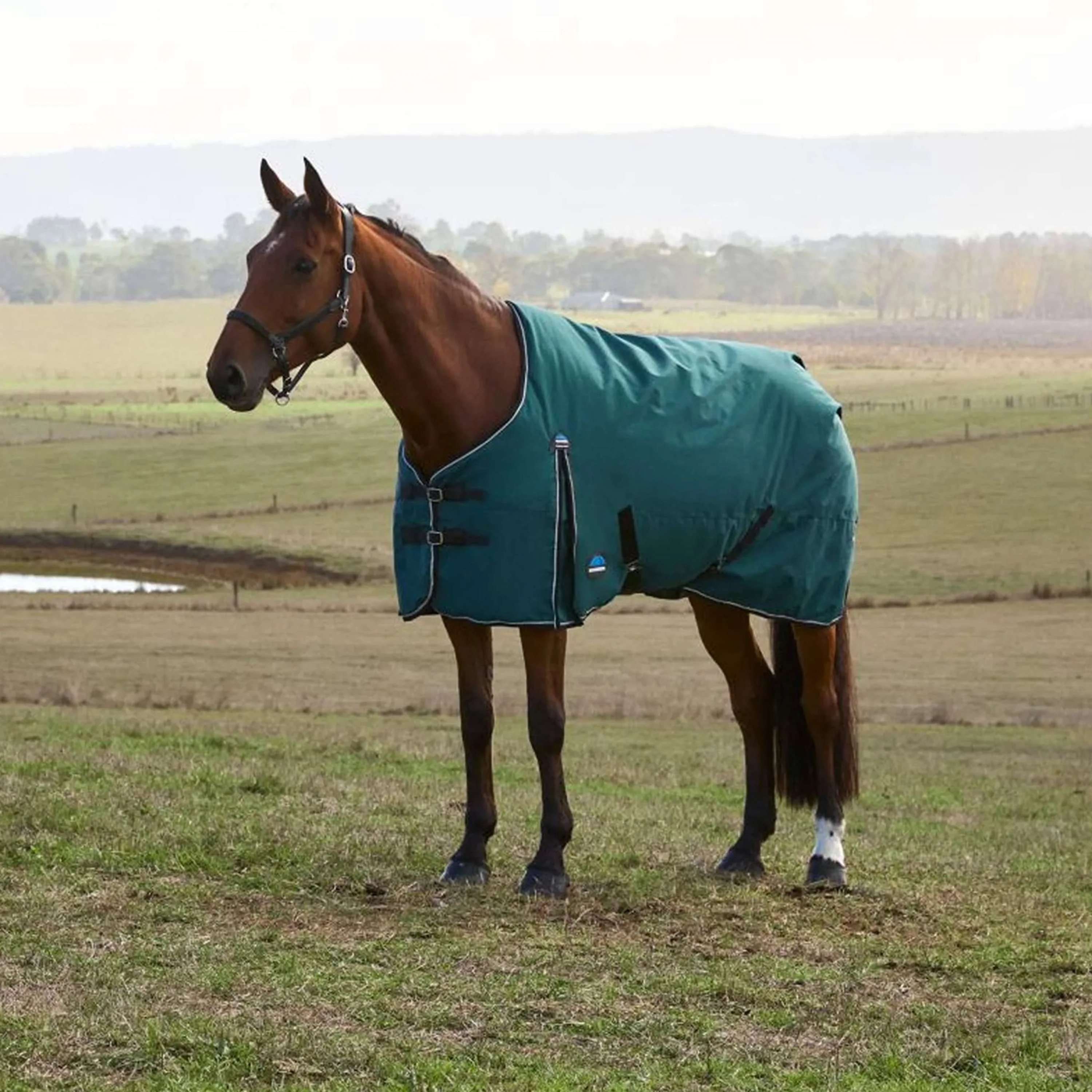 WeatherBeeta ComFiTec Classic Turnout 220 g Forest Green/Black