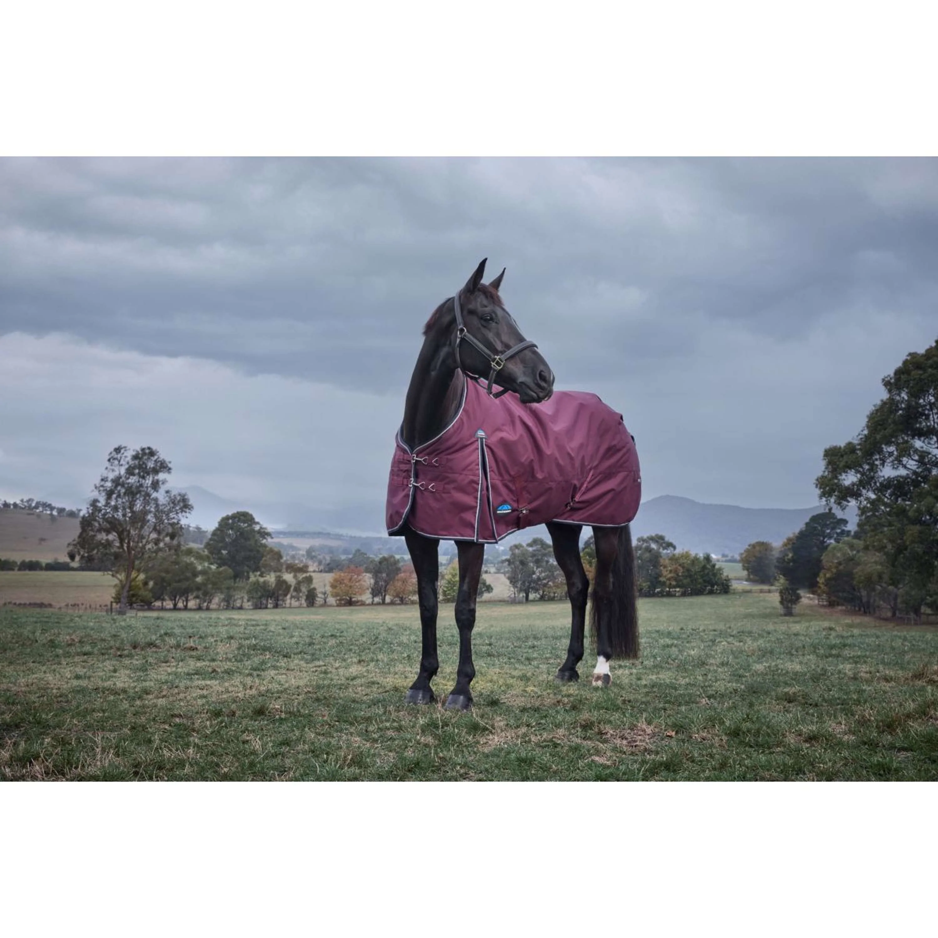 WeatherBeeta ComFiTec Essential Turnout 220 g Borgogna/Marina - Image 2