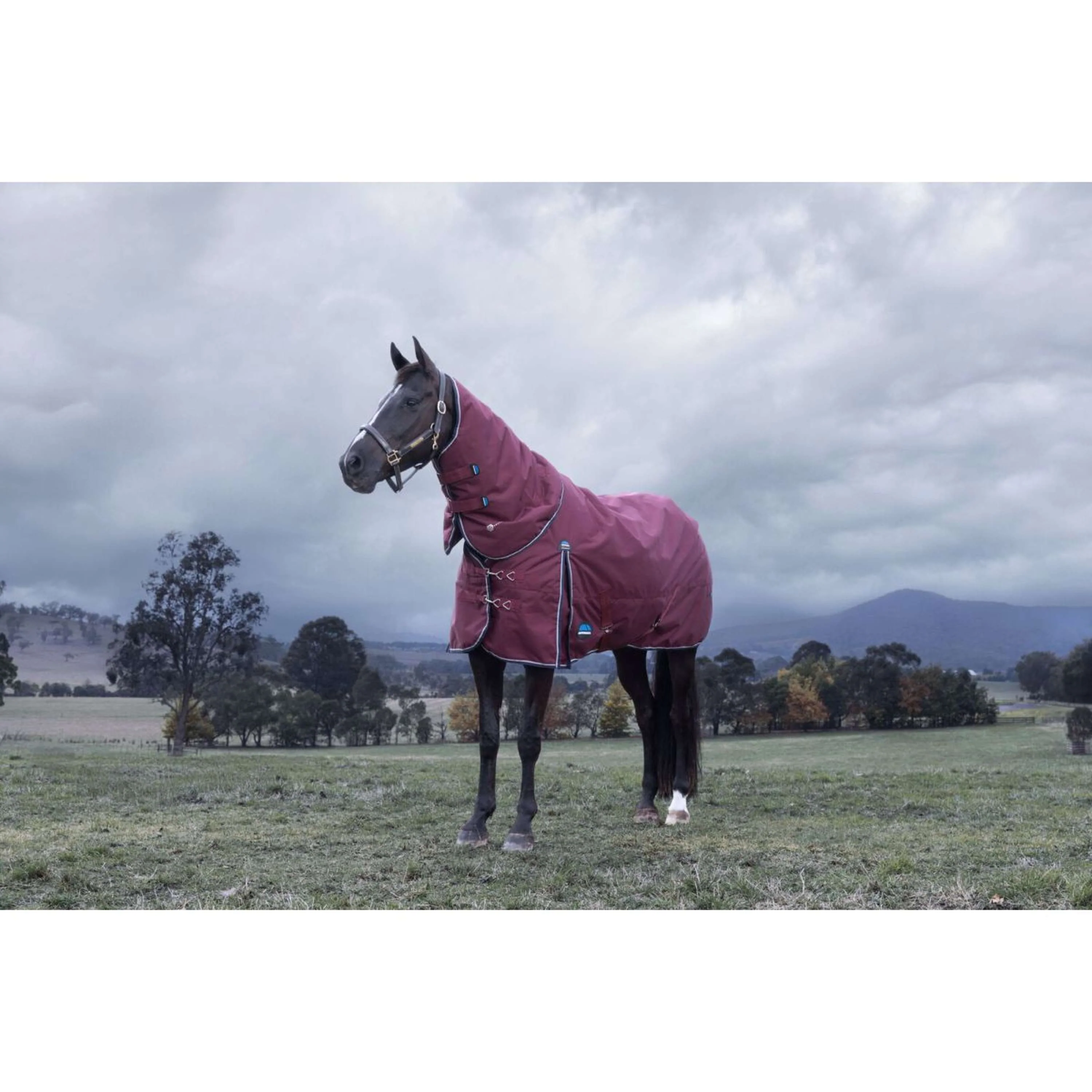 WeatherBeeta ComFiTec Essential Turnout Detach-A-Neck 220 g Borgogna/Marina - Image 2