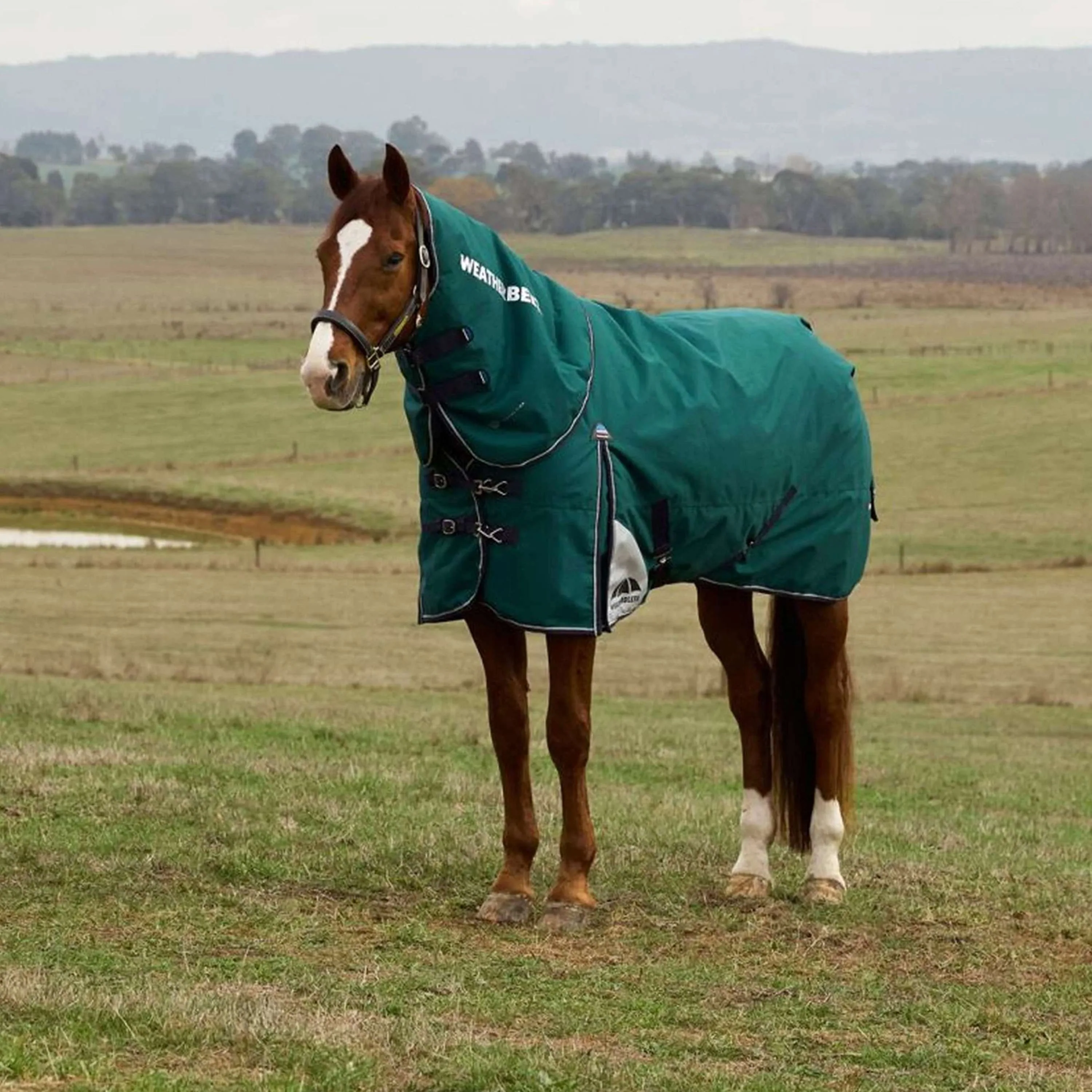 WeatherBeeta ComFiTec Plus Dynamic Turnout Detach-A-Neck 220 g Forest Green/Navy - Image 4