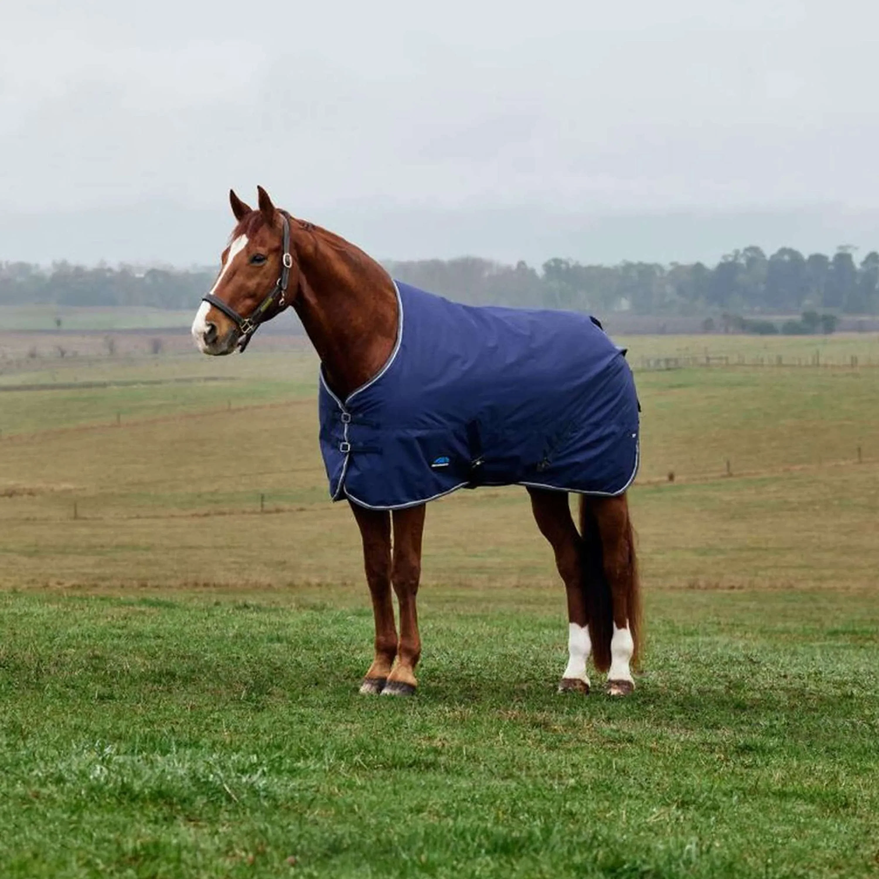 WeatherBeeta ComFiTec Tyro Turnout Standard Neck 220 g Blu marino/Carbone
