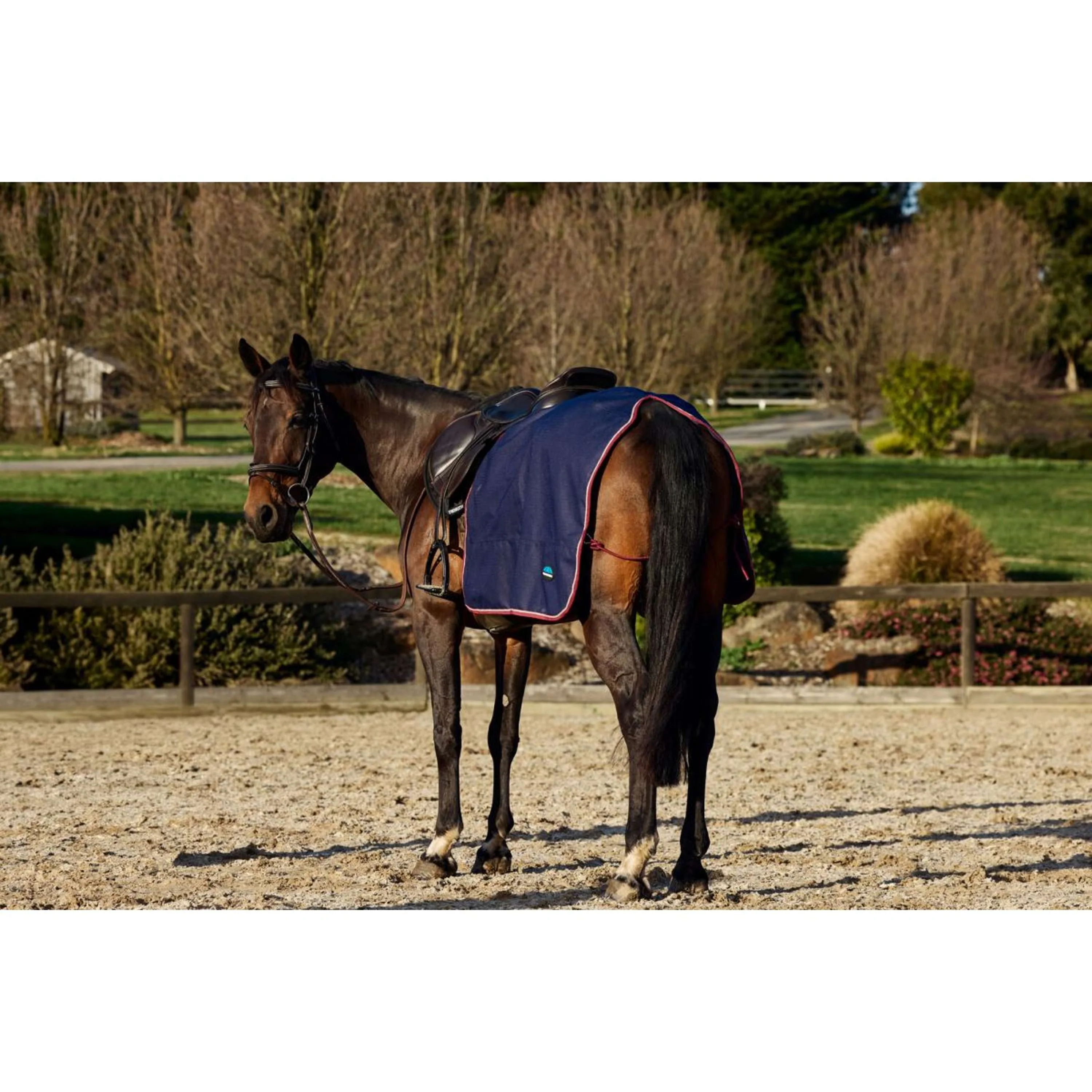 WeatherBeeta Coperta da esercizio Essential Fleece Lined Quarter Sheet Navy/Burgundy - Image 4