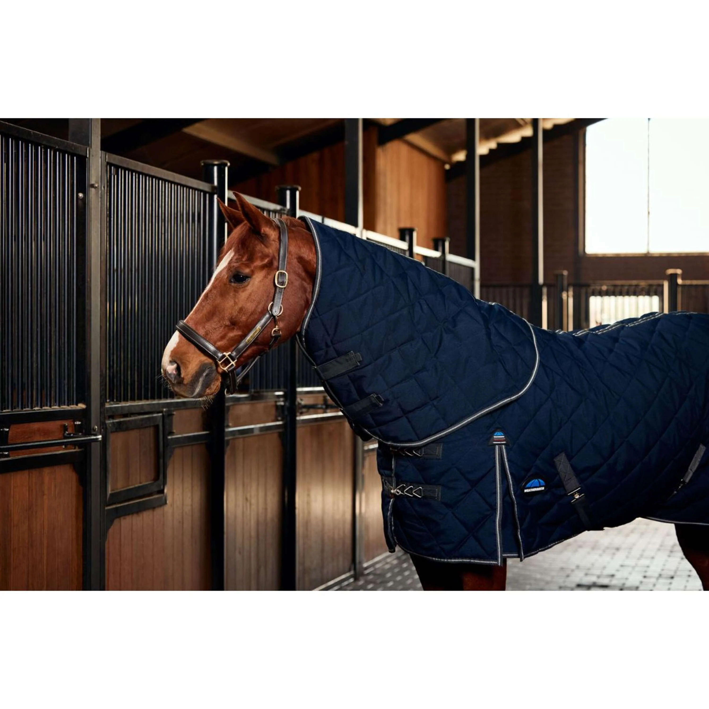 WeatherBeeta Coperta da scuderia ComFiTec 100D Diamond Quilt Detach-A-Neck 220 g Blu marino/Carbone - Image 5