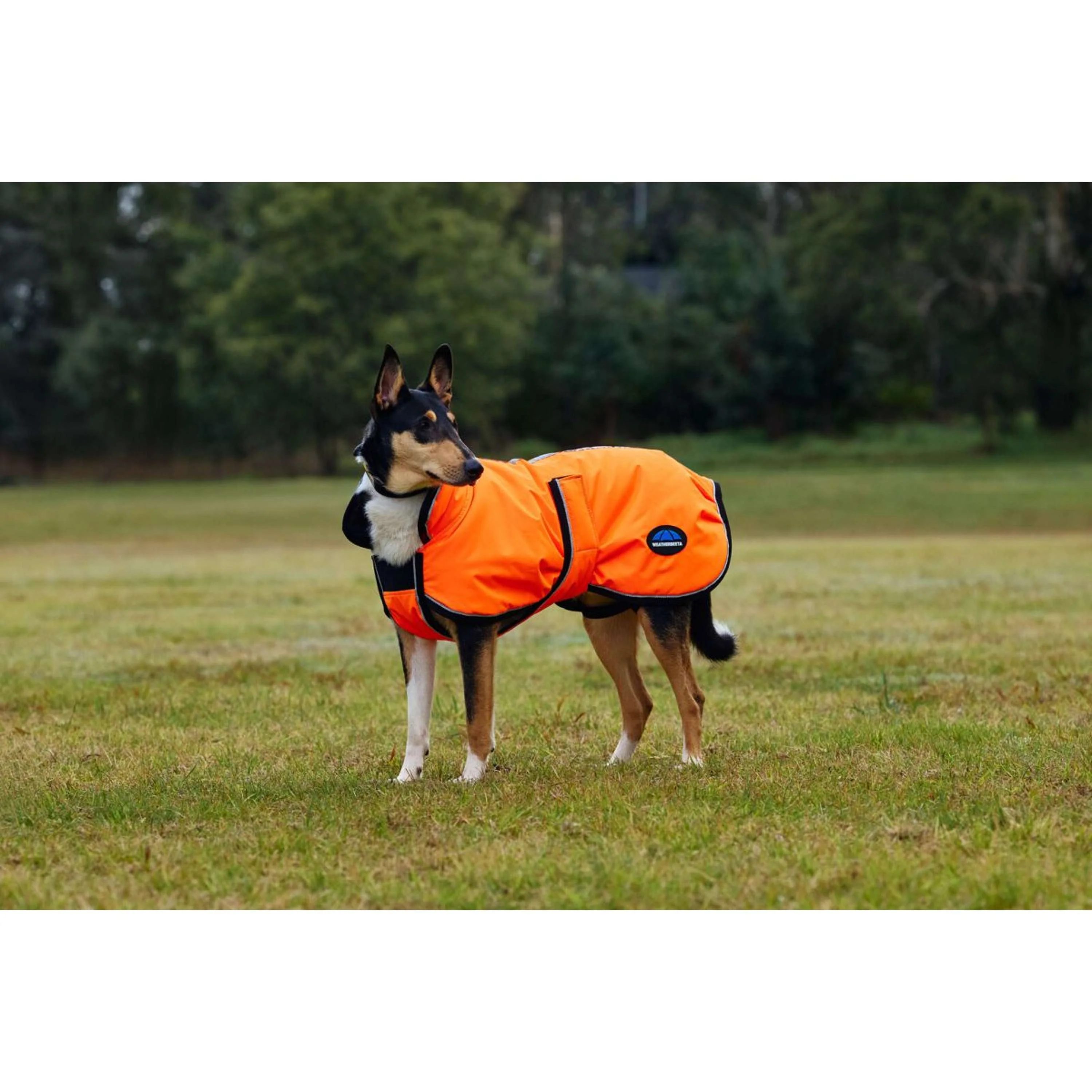 WeatherBeeta Coperta per Cani ComFiTec Reflective 300D Deluxe Showerproof Arancia - Image 6