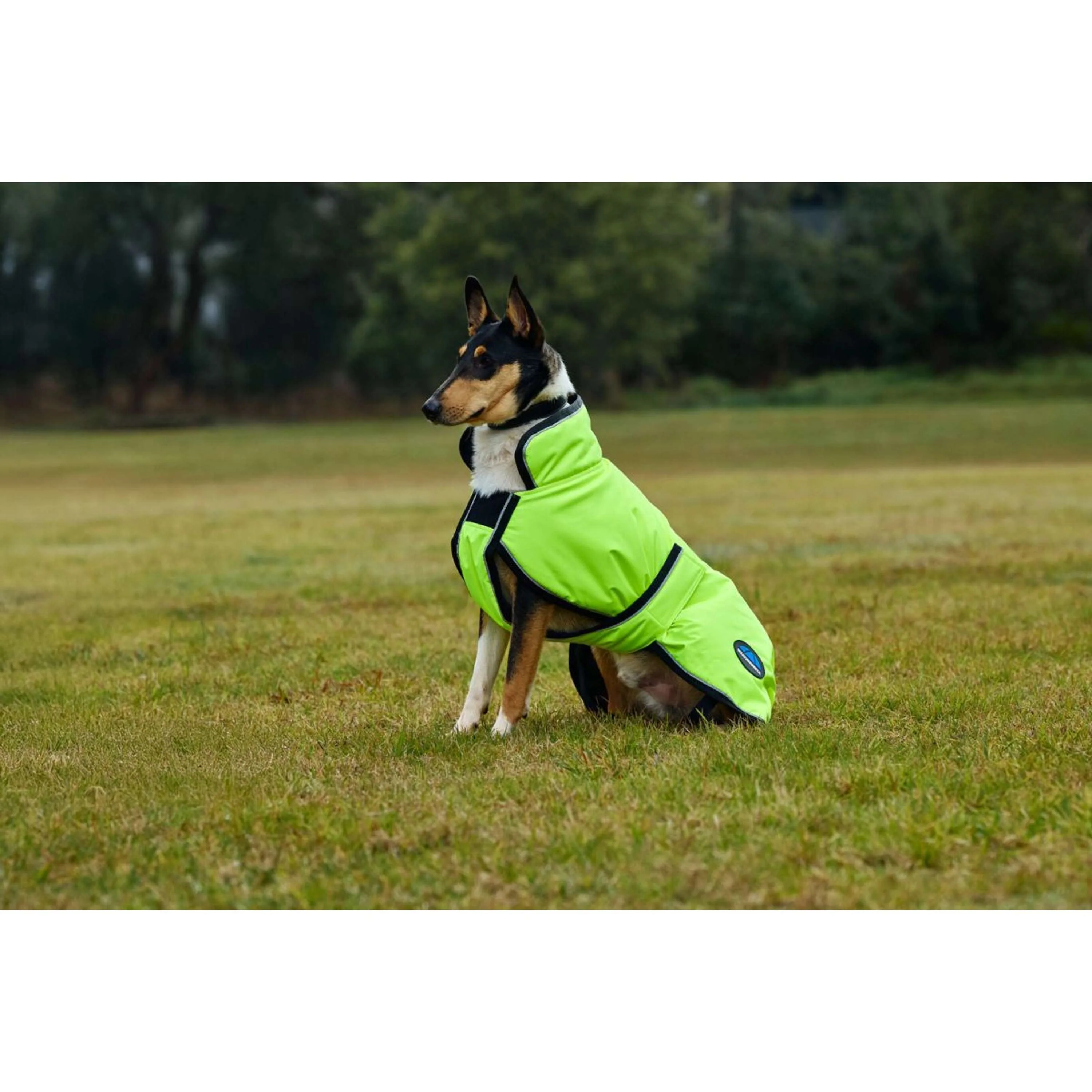 WeatherBeeta Coperta per Cani ComFiTec Reflective 300D Deluxe Showerproof Giallo - Image 2