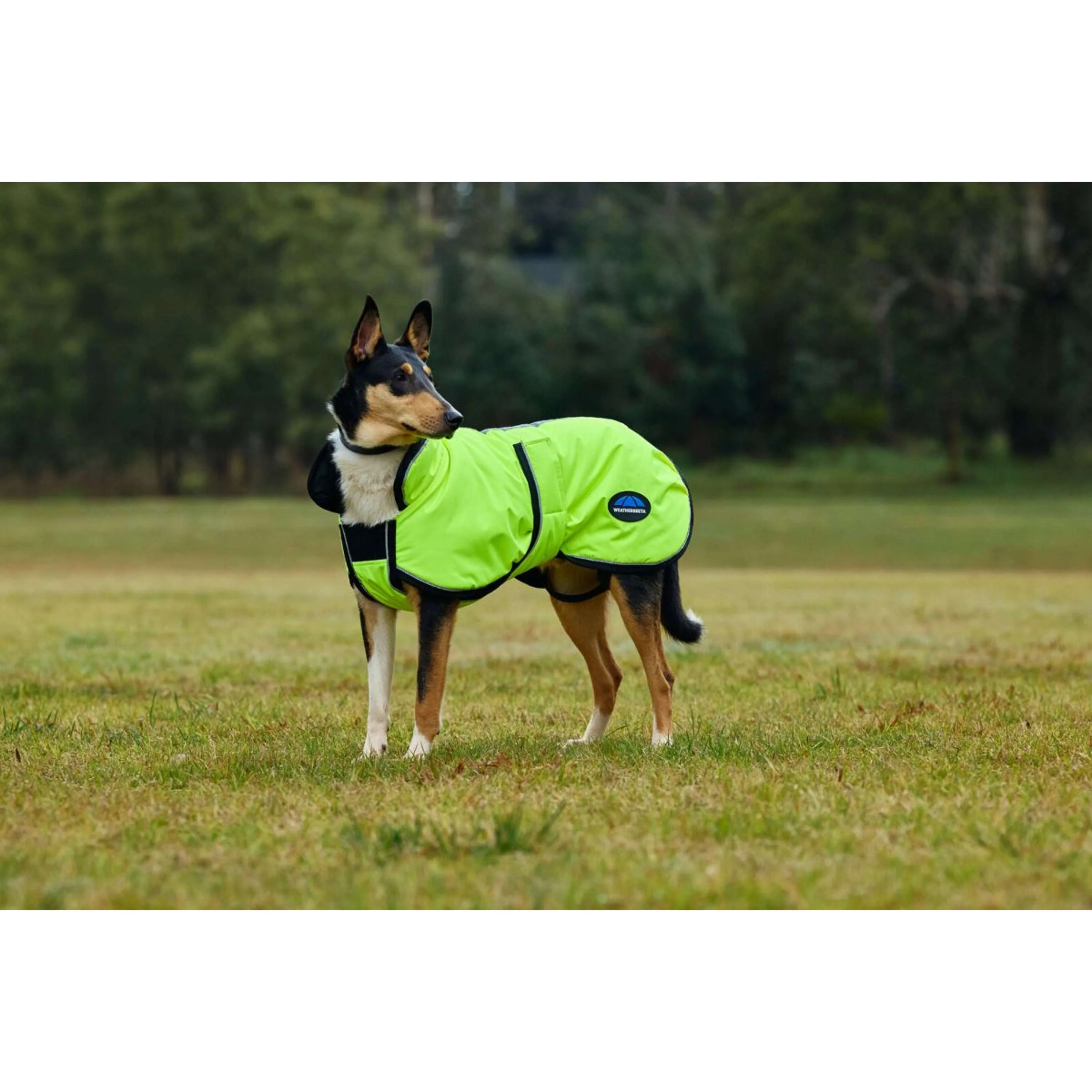 WeatherBeeta Coperta per Cani ComFiTec Reflective 300D Deluxe Showerproof Giallo - Image 3