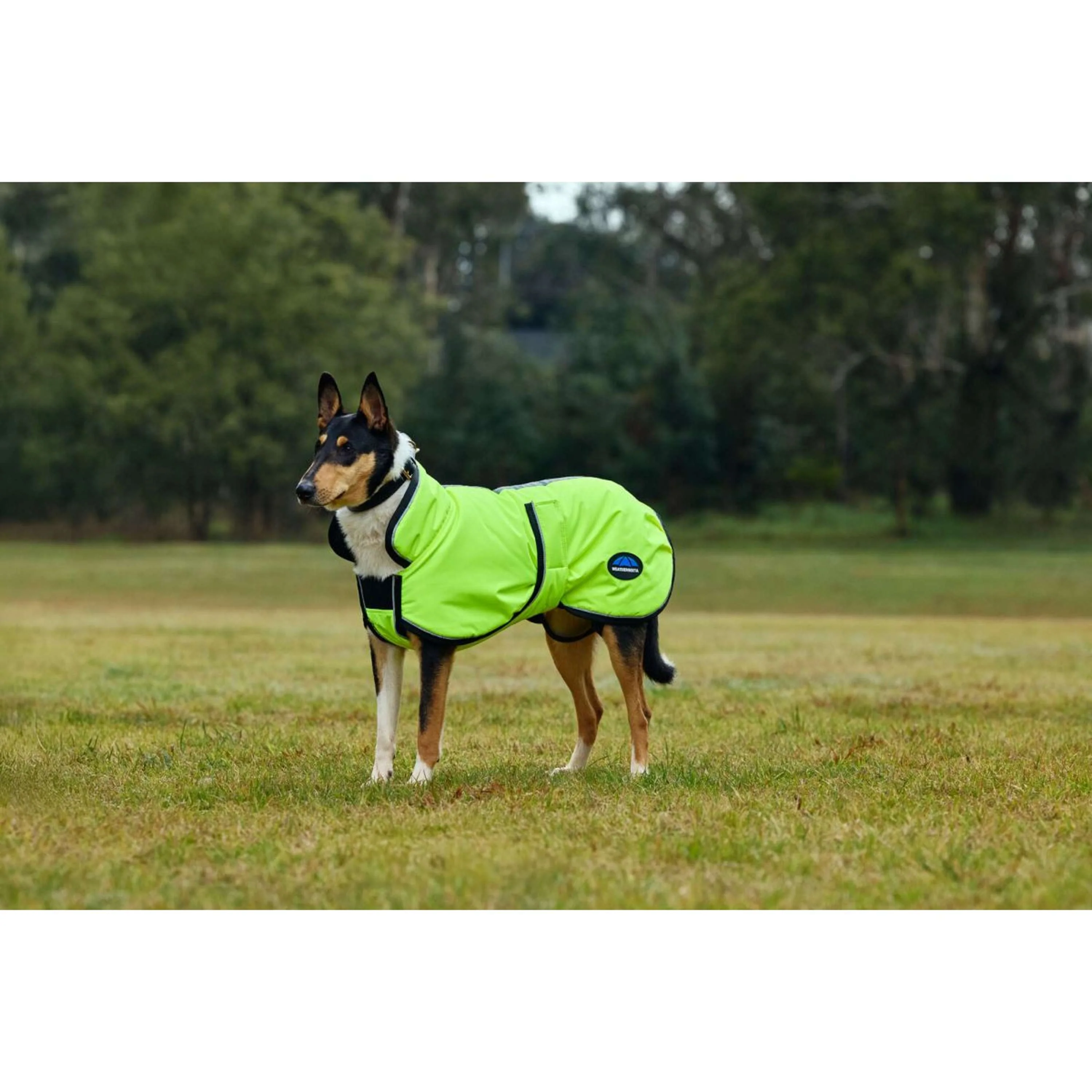 WeatherBeeta Coperta per Cani ComFiTec Reflective 300D Deluxe Showerproof Giallo - Image 4