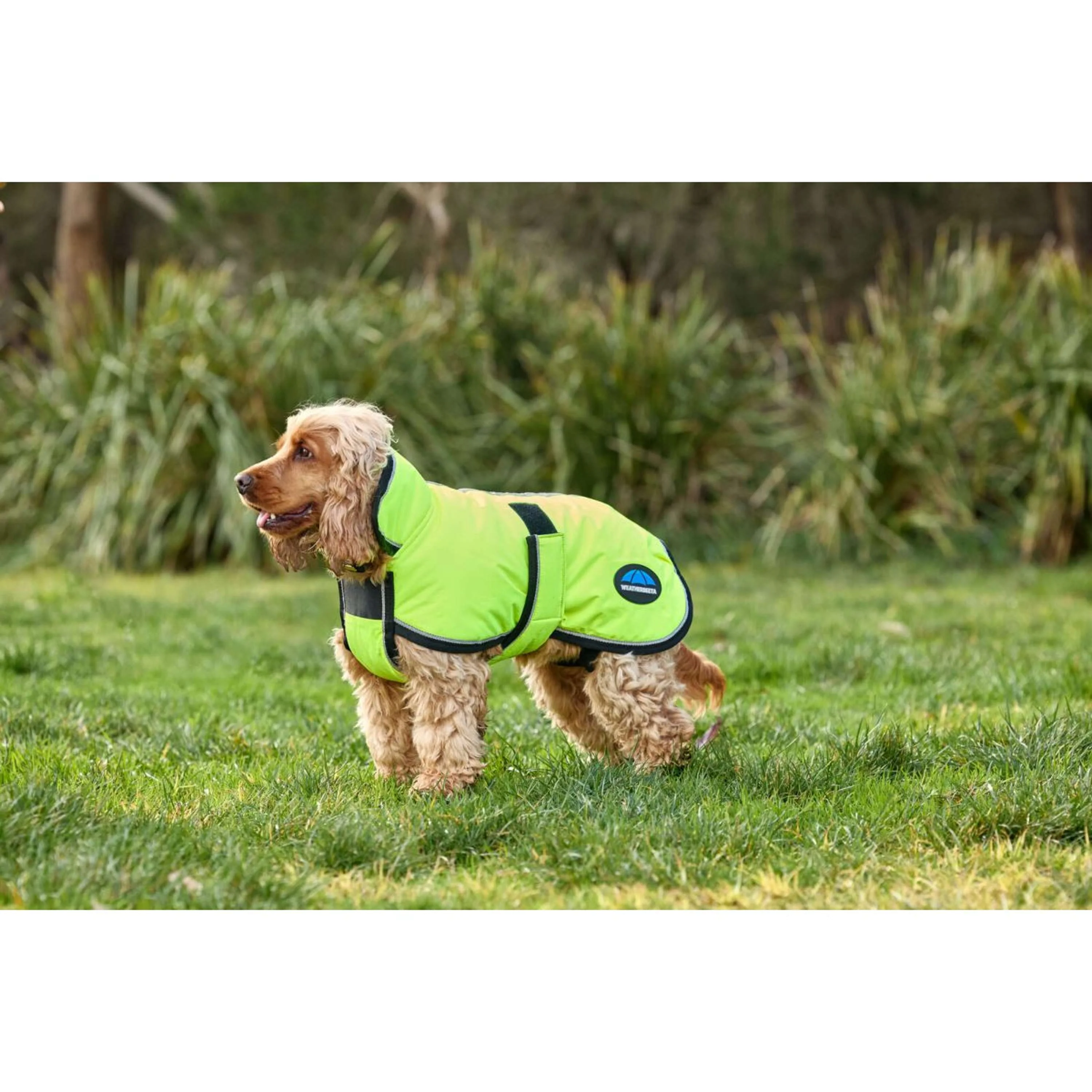 WeatherBeeta Coperta per Cani ComFiTec Reflective 300D Deluxe Showerproof Giallo - Image 5