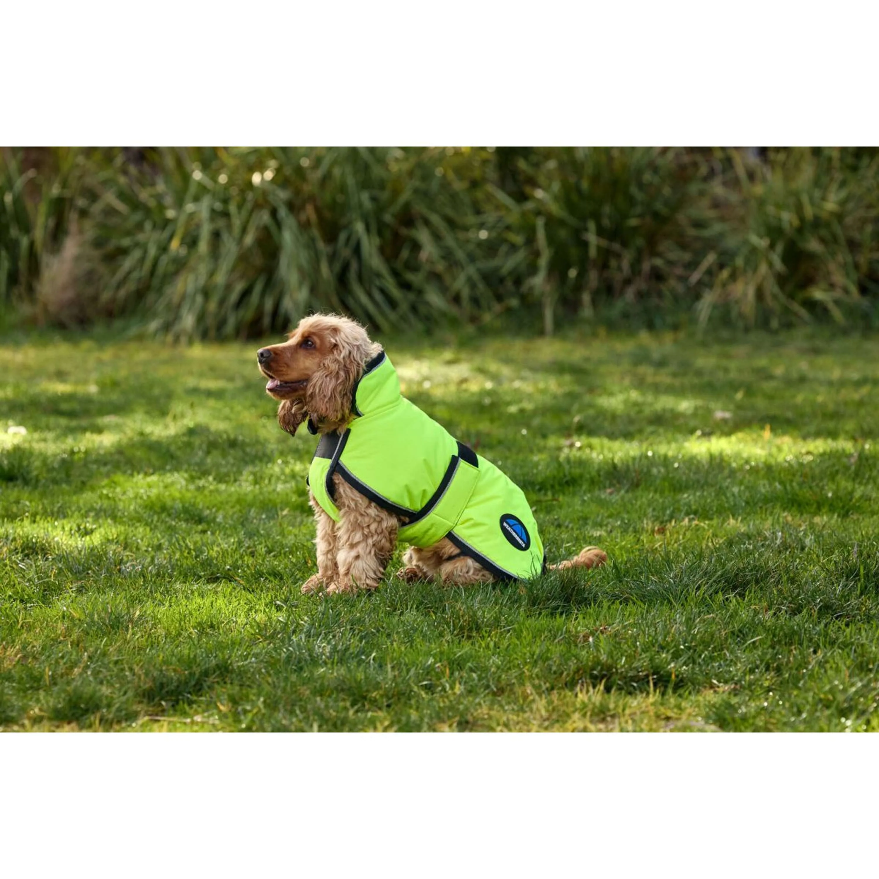 WeatherBeeta Coperta per Cani ComFiTec Reflective 300D Deluxe Showerproof Giallo - Image 7